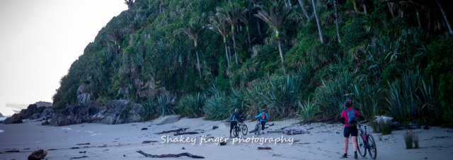 beach sections of the Heaphy track