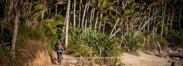 sand, surf and bush mountain biking heaphy track